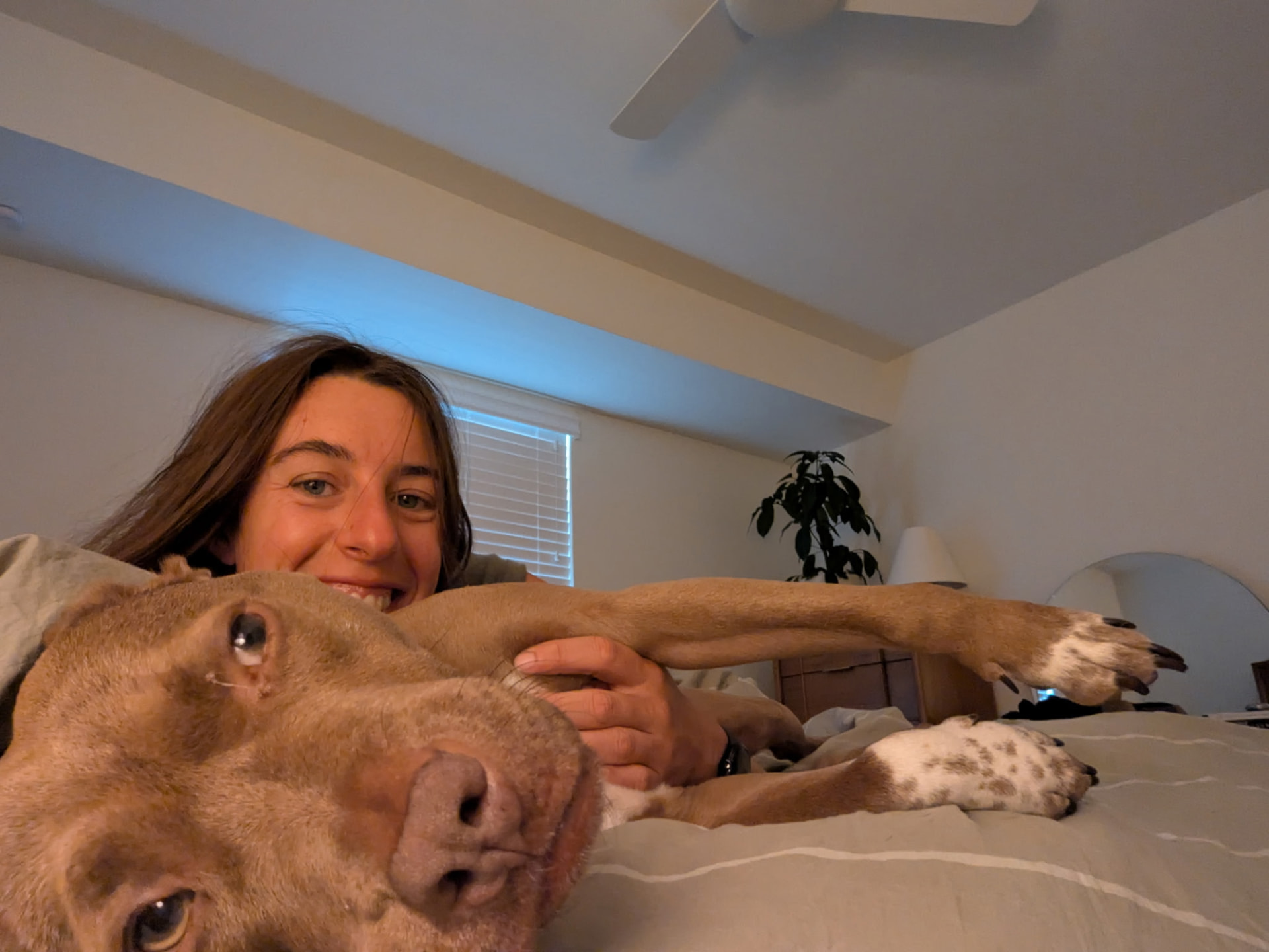 Sarah snuggling a senior pit bull mix on the bed during an overnight stay